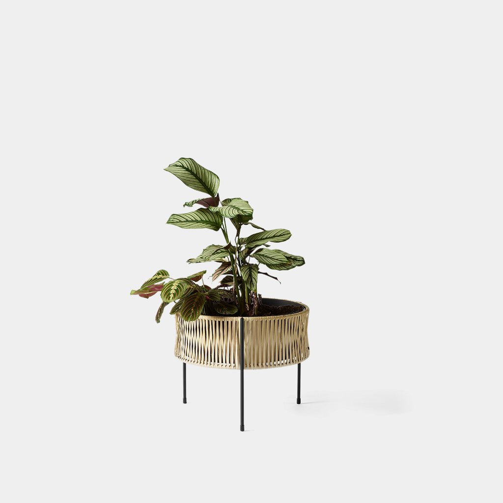 Umanoff Planter Medium by Audo Copenhagen in woven rattan and powder-coated steel on neutral background with plant