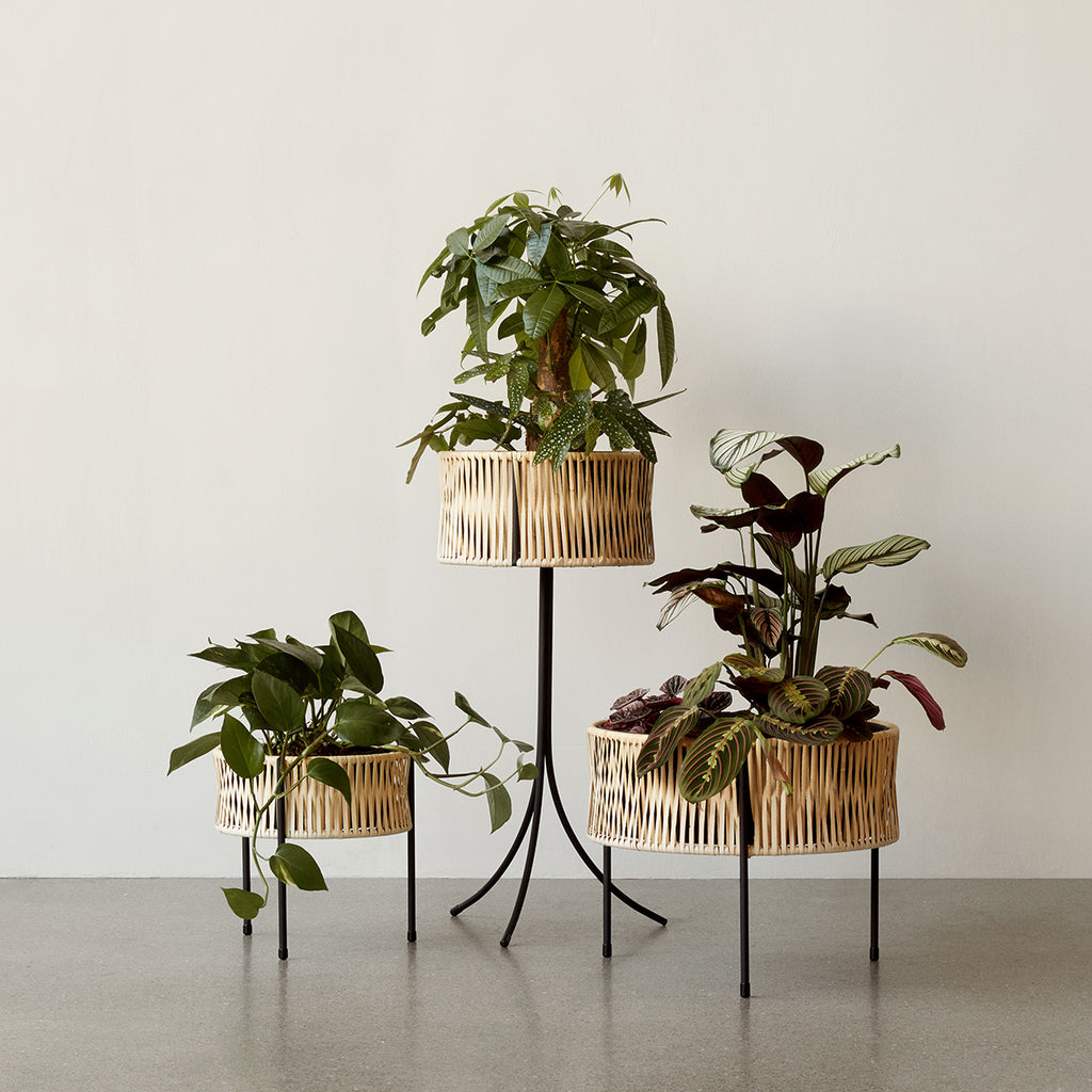 Trio of Umanoff Planters in all sizes displaying plants while styled together on neutral surface