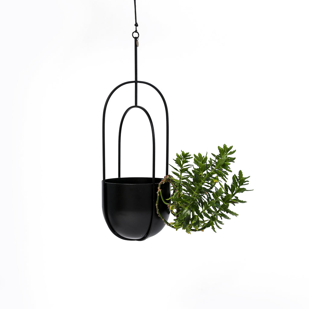 Hanging Deco Pot