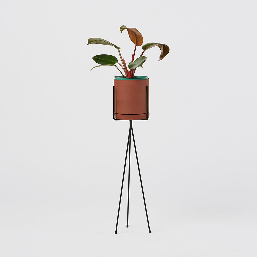 Plant Stand