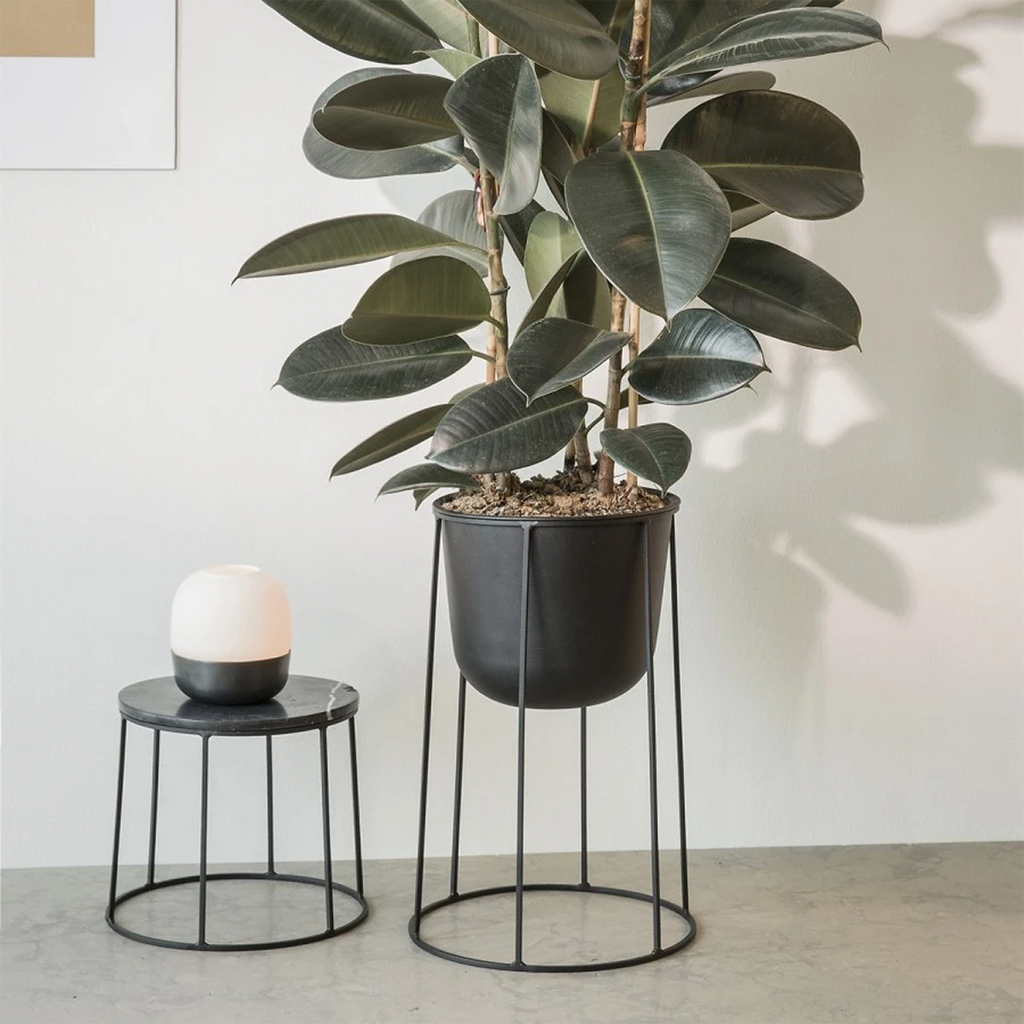 Wire Pot + Stand