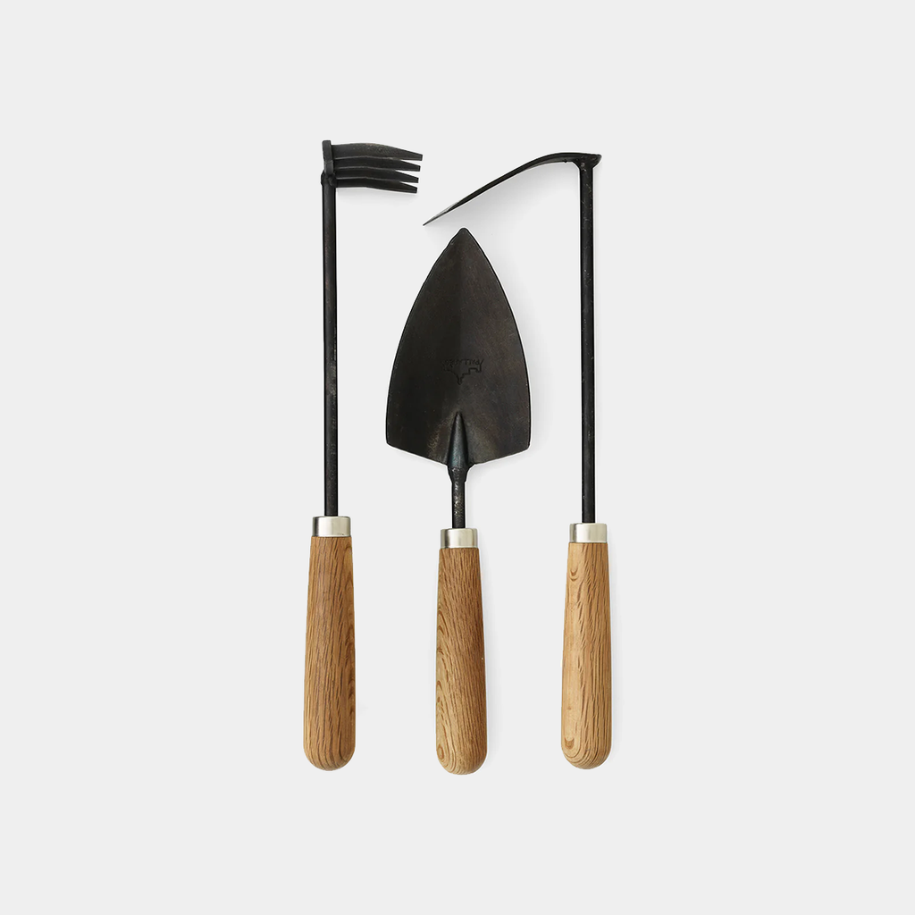 Pallares x Audo Plant Tools, set of 3